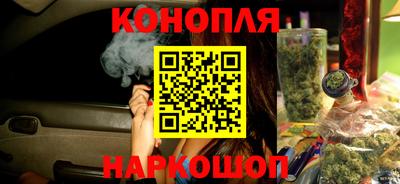 стаф Берёзовский