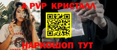 стаф Берёзовский
