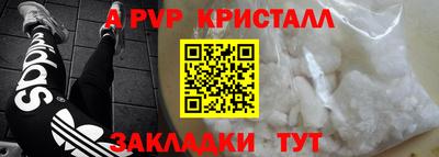 стаф Берёзовский