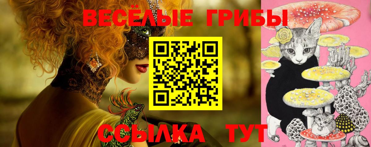 Галлюциногенные грибы Cubensis Горно-Алтайск