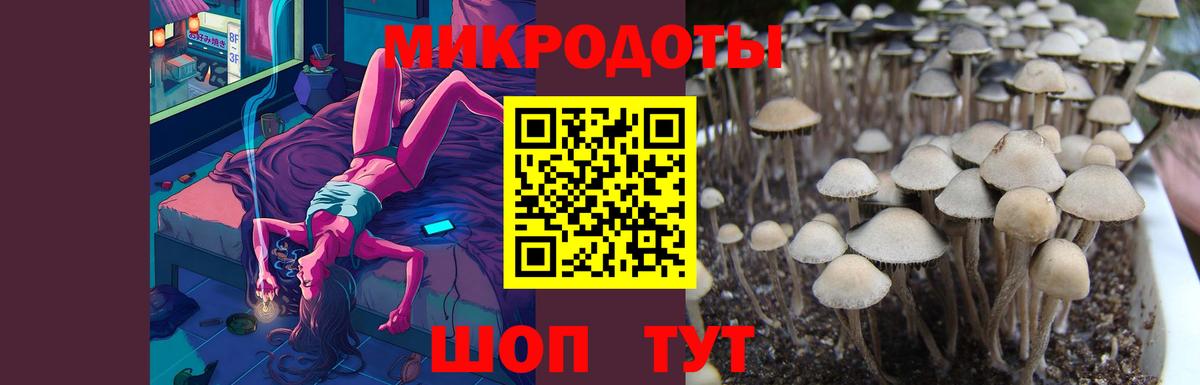 Горно-Алтайск  Галлюциногенные грибы Magic Shrooms  Вход с VPN  Галлюциногенные грибы прущие грибы 